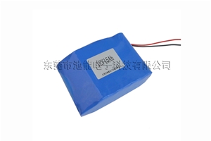 12V  15000mAh   21700鋰電池組